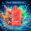 Load image into Gallery viewer, Czar CZ9000
