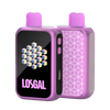 Load image into Gallery viewer, LOSGAL MC25000 by Lost Mary