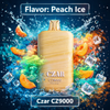 Load image into Gallery viewer, Czar CZ9000