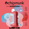 Load image into Gallery viewer, Chipmunk KN10000
